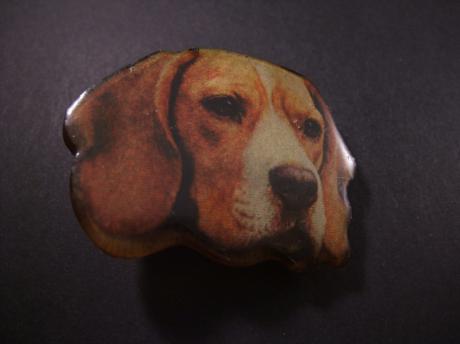 Beagle jachthond ( konijnen en hazen) houten speld